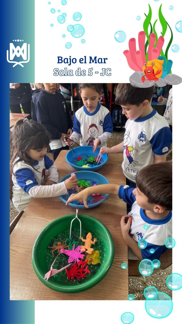 Instagram post from ciademaria_cespedescaba. This post is in position 6.