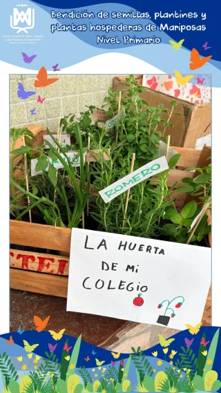 Instagram post from ciademaria_cespedescaba. This post is in position 1.