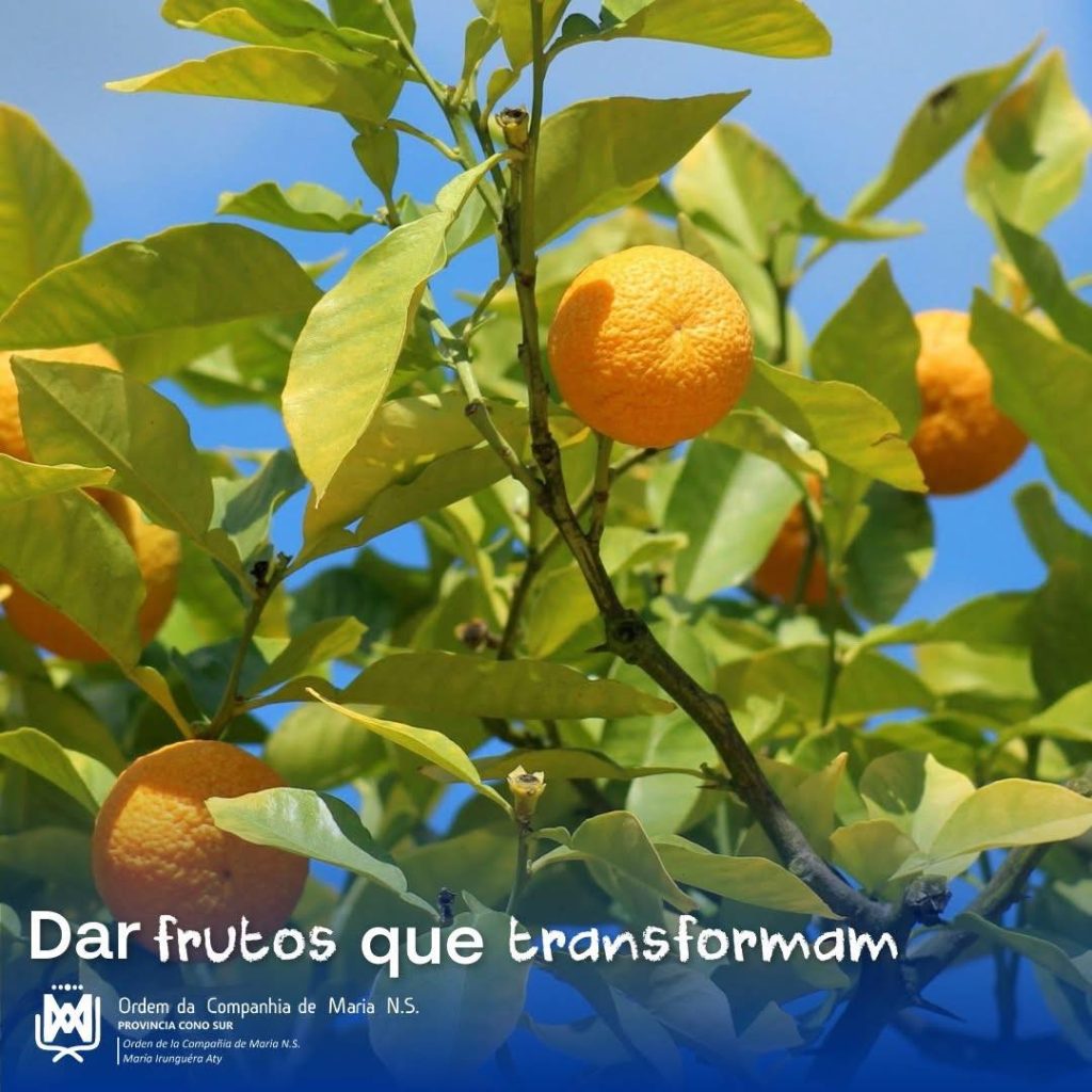 Instagram post from ciademaria_cespedescaba. This post is in position 0.